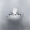 About Walking Song