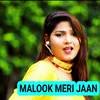 About Malook Meri Jaan Song