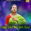 About Happy New Year Balo Sabai Song