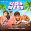 About Kacha Badam Song