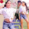 About Kare Ka Pratapgarh Jaalu Song