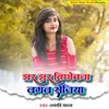 About Jhar Jhar Bichhowna Lagal Sejiya Song