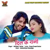 About Dil Ke Rani Chhattisgarhi Song Song