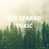 About TOXIC Song