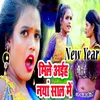 About New Year Mile Aiha Naya Saal Me Song