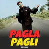 About Pagla Pagli Song