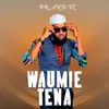 About Waumie Tena Song