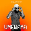 About Umewaka Song