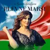 About Plevne Marşı Song