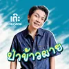 About ป่าข้าวผาย Song