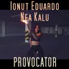 About Provocator Song