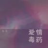 About 爱情毒药 Song