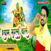 About Shyam Murli Wale Song