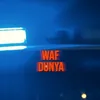 About Dünya Song