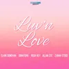 About Lov'n Love Song