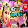 About Dard Bhara Geet Maliya Chhor Ke Chal Gayil Song