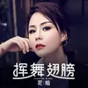 挥舞翅膀 DJ Remix 1