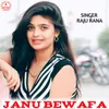 About Janu bewafa Song