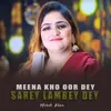 Meena Kho Oor Dey Sarey Lambey Dey