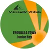 Trouble a Town