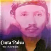 About Cinta Palsu Song