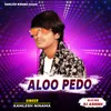 About ALOO PEDO Song