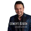 About Serseri Gönlüm Song