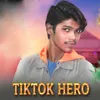 About Tik Tok Hero Song