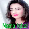 Zama Ma Mazari