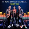 About DJ Remix Cintaki Luar Biasa Song