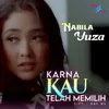 About Karna Kau Telah Memilih Song