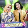 About Tresno Sudro Song