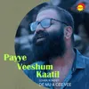 About Payye Veeshum Kaatil Recreated Version Song