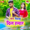 About Tor Dihali Dil Hamar Song