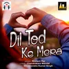 About Dil Tod Ke Mera Song