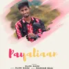 About Payaliaan Song