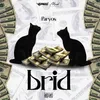 About Brid Song