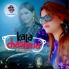 About Kala Chashma Song