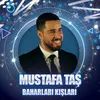 About Baharları Kışları / Tek Taraflı Song