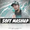 About Soft Mashup Song