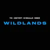 About Wildlands Song