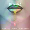 About Tu Nena Song