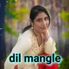 About Dil Mangle Song