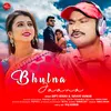 About Bhulna Jaana Song