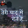 About Teri Yaad Mei Rotein Hain Song
