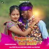 About Pagal Toi Kair Dele Nagpuri Song