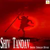 About Shiv Tandav Song