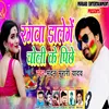 About Rangva Dalenge Choli Ke Pichhe Song