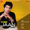 About Tu Meri Jaan Nai Song