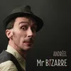 About Monsieur bizarre Song